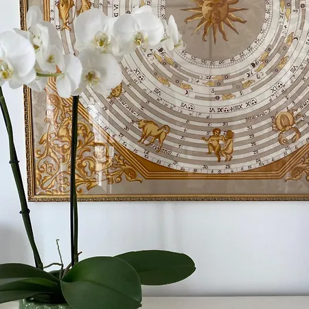 Salvia - Free Park Apartament *